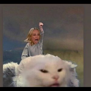 Meet your Posher, Ash